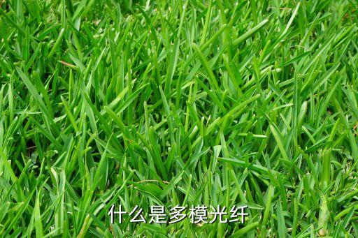 什么是多模光纖