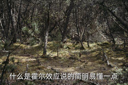 什么是霍爾效應說的簡明易懂一點
