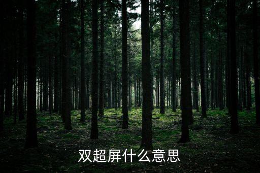 雙超屏什么意思