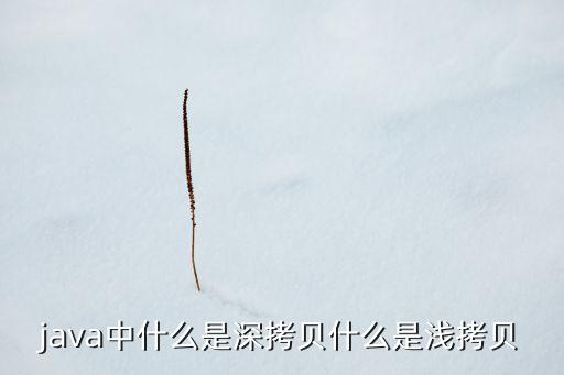 java中什么是深拷貝什么是淺拷貝