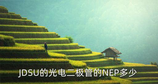 JDSU的光電二極管的NEP多少