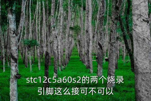 stc12c5a60s2的兩個燒錄引腳這么接可不可以
