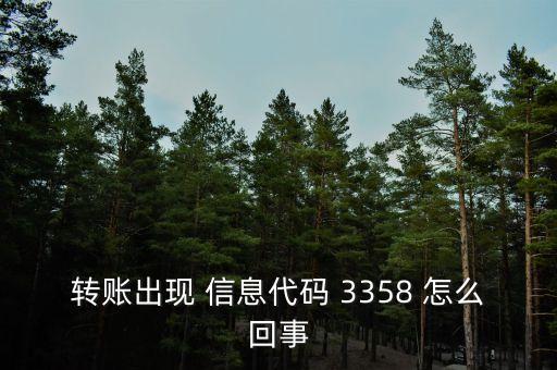 轉(zhuǎn)賬出現(xiàn) 信息代碼 3358 怎么回事