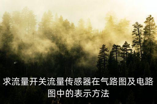 求流量開關(guān)流量傳感器在氣路圖及電路圖中的表示方法