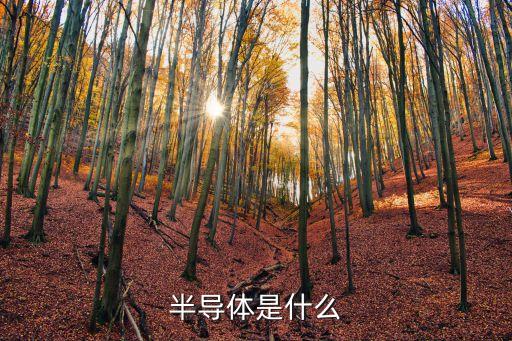 半導(dǎo)體是什么
