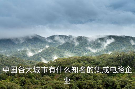 中國(guó)芯片公司，中芯國(guó)際集成電路制造北京有限公司怎么樣