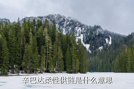 辛巴達柔性供鏈是什么意思