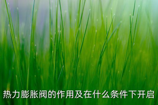 熱力膨脹閥，熱力膨脹閥的作用及在什么條件下開啟