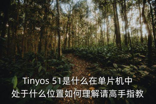 Tinyos 51是什么在單片機中處于什么位置如何理解請高手指教