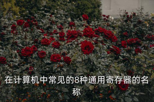 通用寄存器，通用寄存器有那寫
