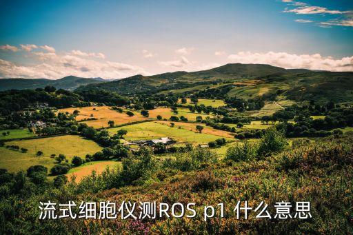 流式細(xì)胞儀測ROS p1 什么意思