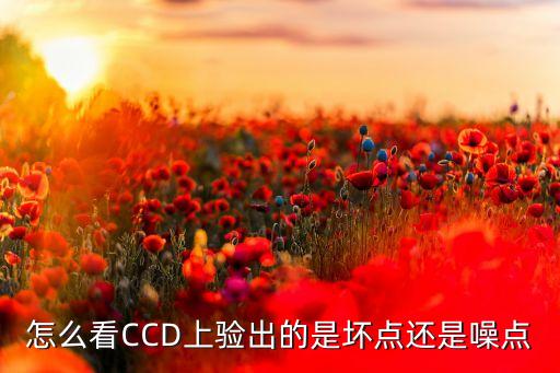 CCD檢測(cè)，如何檢測(cè)相機(jī)CCD鏡頭壞點(diǎn)詳細(xì)點(diǎn)