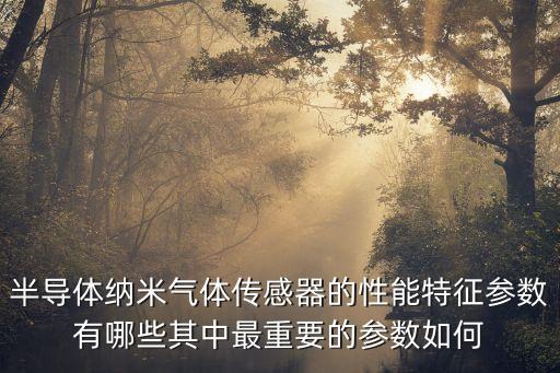 半導(dǎo)體納米氣體傳感器的性能特征參數(shù)有哪些其中最重要的參數(shù)如何