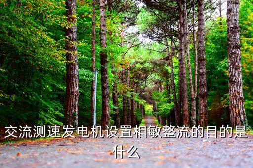整流的目的，交流測速發(fā)電機(jī)設(shè)置相敏整流的目的是什么