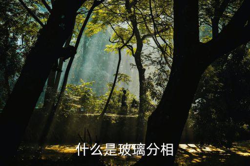 分相，生物化學(xué)中分相的概念