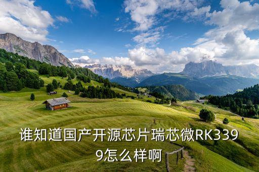 誰知道國產(chǎn)開源芯片瑞芯微RK3399怎么樣啊