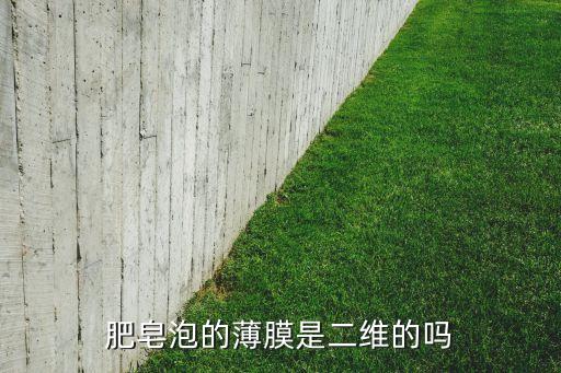 肥皂泡的薄膜是二維的嗎