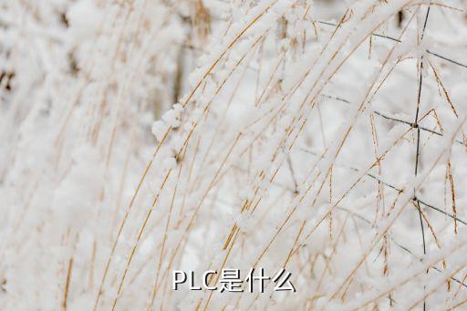 PLC是什么