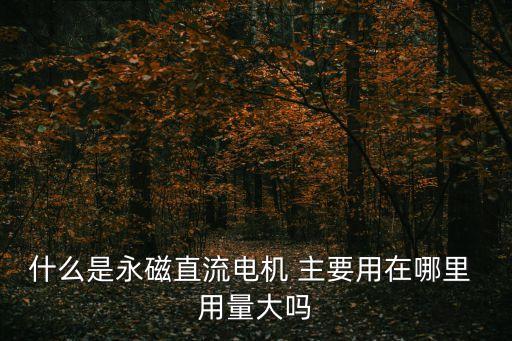 什么是永磁直流電機 主要用在哪里 用量大嗎