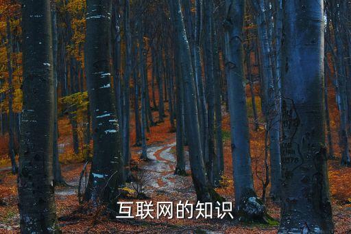互聯(lián)網(wǎng)知識(shí)，互聯(lián)網(wǎng)的知識(shí)
