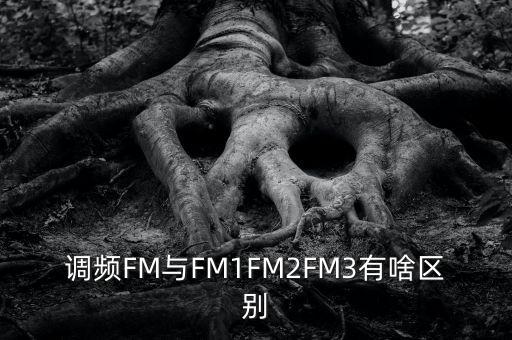 調(diào)頻FM與FM1FM2FM3有啥區(qū)別