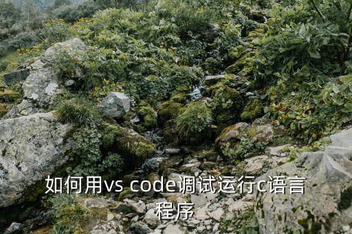 如何用vs code調(diào)試運行c語言程序