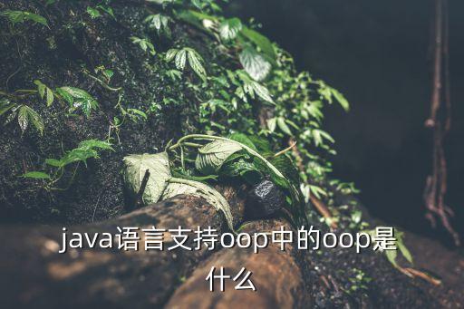 java語言支持oop中的oop是什么