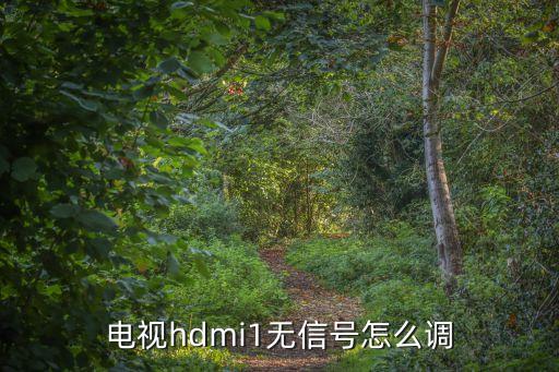 電視hdmi1無信號(hào)怎么調(diào)