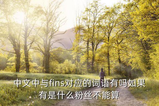 fins，fins有什么用