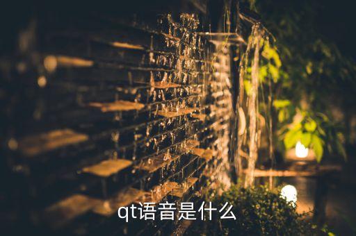 什么是語音，qt語音是什么