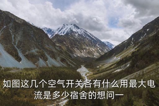 如圖這幾個空氣開關(guān)各有什么用最大電流是多少宿舍的想問一