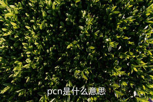PCn，在物流與供應(yīng)鏈管理里PCN和AVL是什么意思