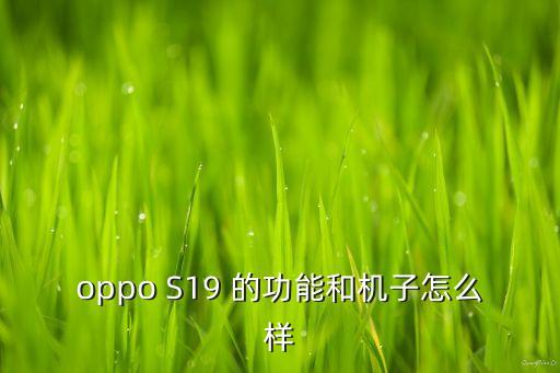 s19，機(jī)械加工圖紙上的s19是什么意思