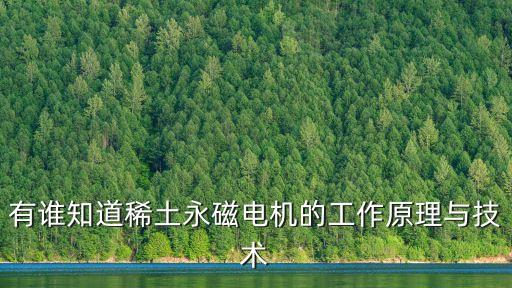 有誰(shuí)知道稀土永磁電機(jī)的工作原理與技術(shù)