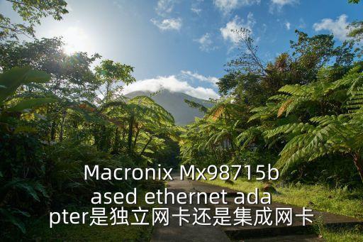 Macronix Mx98715based ethernet adapter是獨(dú)立網(wǎng)卡還是集成網(wǎng)卡