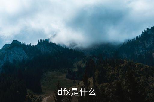 dfx，dfx是什么