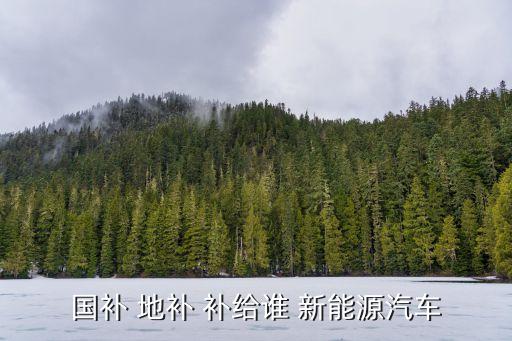 國(guó)補(bǔ) 地補(bǔ) 補(bǔ)給誰(shuí) 新能源汽車