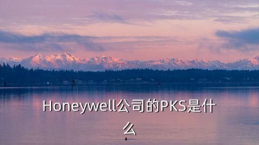 pks，pks是什么意思
