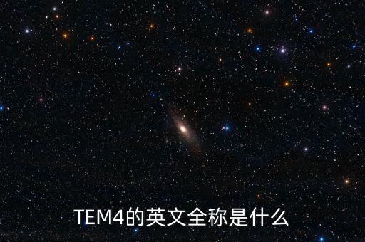 TEM4的英文全稱是什么