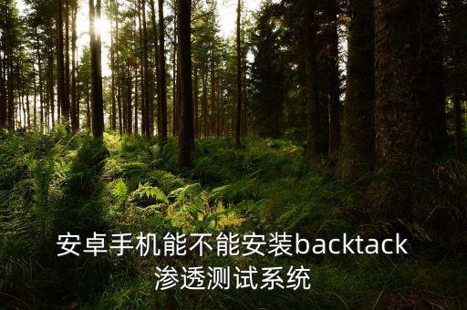 滲透測試工具，推薦一些關于入侵檢測方面的軟件