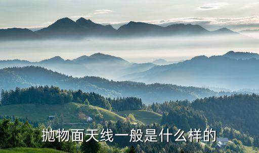拋物面天線，拋物面天線按饋電方式可分為可分為哪2種