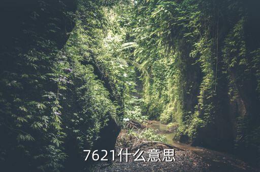 7621什么意思
