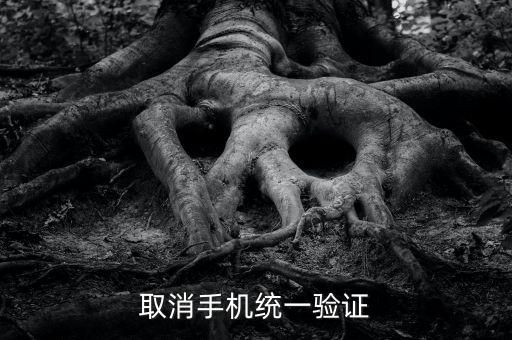 取消手機統(tǒng)一驗證