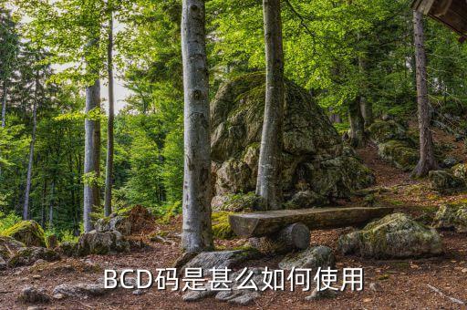 BCD碼是甚么如何使用
