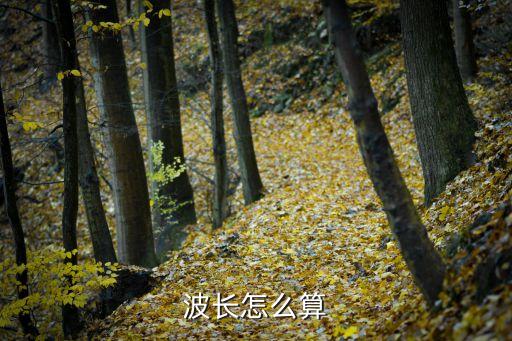 波長怎么算
