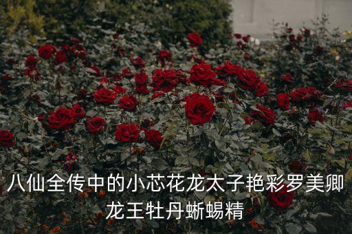 八仙全傳中的小芯花龍?zhí)悠G彩羅美卿龍王牡丹蜥蜴精