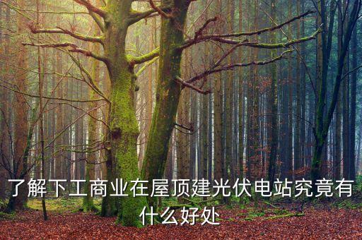 了解下工商業(yè)在屋頂建光伏電站究竟有什么好處