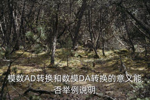 模數(shù)AD轉(zhuǎn)換和數(shù)模DA轉(zhuǎn)換的意義能否舉例說明
