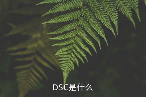 DSC是什么