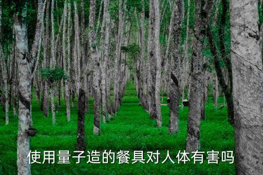 量子對(duì)人體的危害，使用量子造的餐具對(duì)人體有害嗎